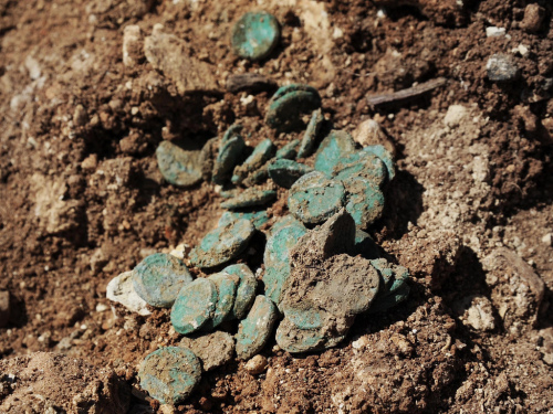Coin hoard as it was found in the excavation. Photo Vladimir Nuhin, IAA.